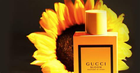 gucci bloom amarillo